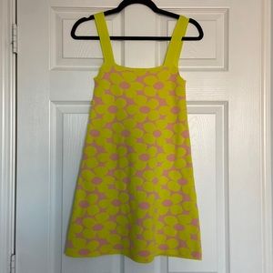 Zara Floral Knit Mini Dress